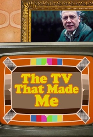 The TV That Made Me