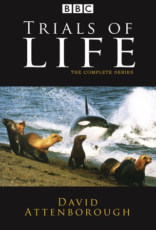 The Trials of Life: A Natural History of Behaviour