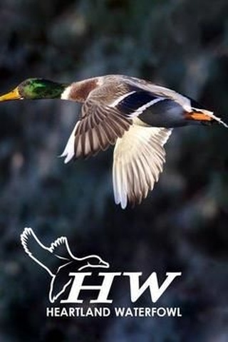 Heartland Waterfowl