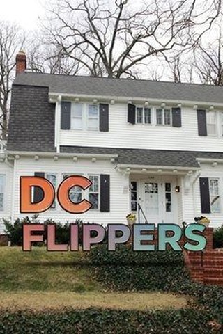 DC Flippers