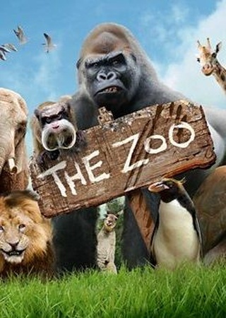 The Zoo