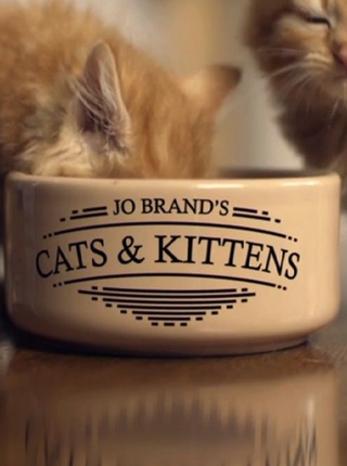 Jo Brand's Cats and Kittens