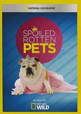 Spoiled Rotten Pets