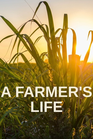 A Farmer's Life