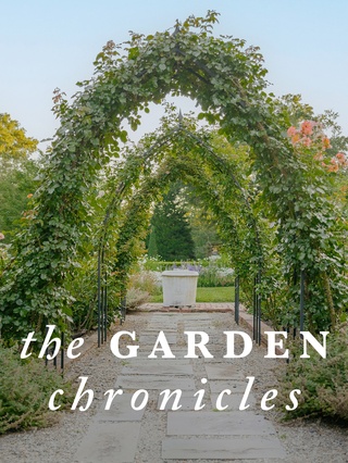 The Garden Chronicles