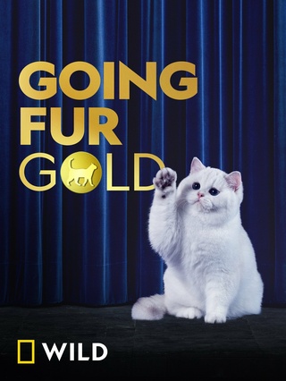 Going Fur Gold