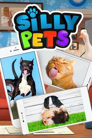 Silly Pets