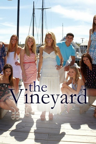 The Vineyard