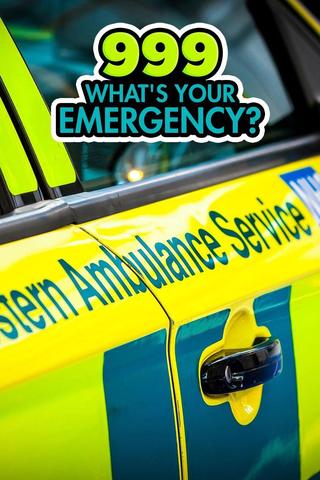 999: What's Your Emergency?
