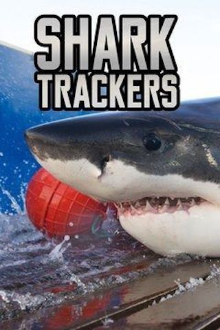 Shark Trackers