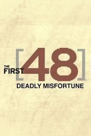 The First 48: Deadly Misfortune