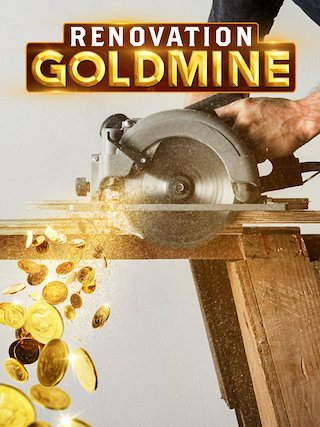 Renovation Goldmine