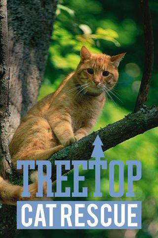 Treetop Cat Rescue